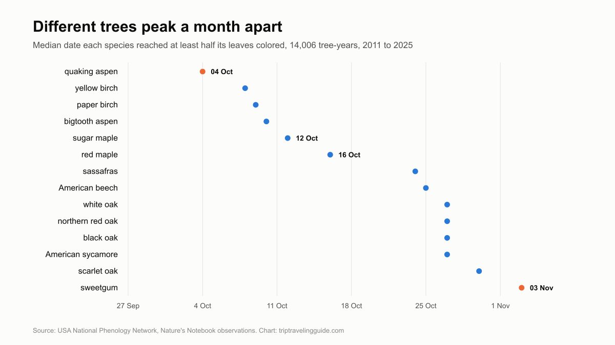 Dot plot showing median peak color dates for 14 American trees, from quaking aspen on 4 October to sweetgum on 3 November