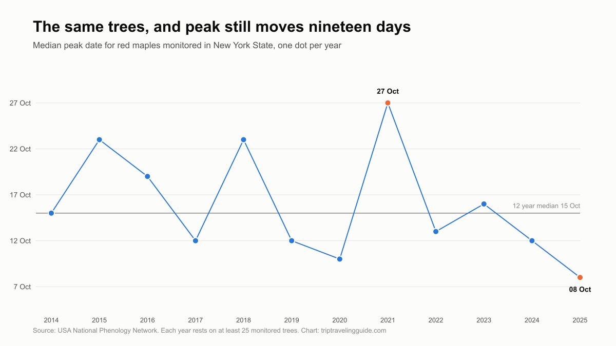 Line chart of median peak color dates for New York red maples from 2014 to 2025, swinging between 8 October and 27 October