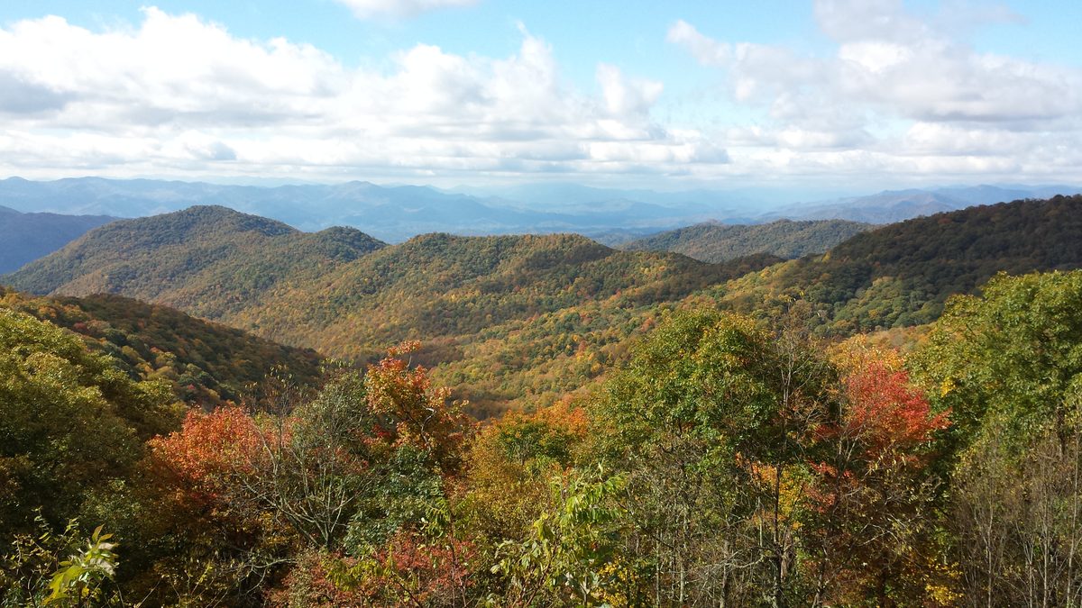 A Blue Ridge Parkway hillside in autumn with red, orange, yellow and still-green trees on the same slope