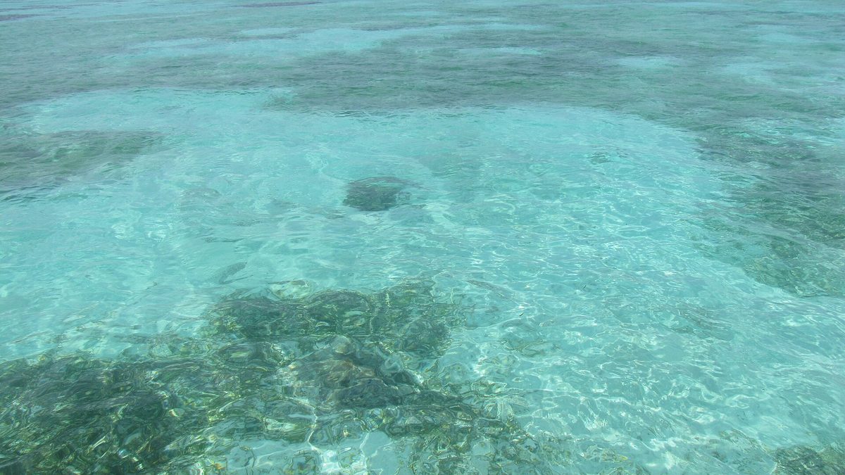 Clear turquoise shallow lagoon water over coral at Kalpeni island in Lakshadweep, one of the islands the Samudram cruise visits