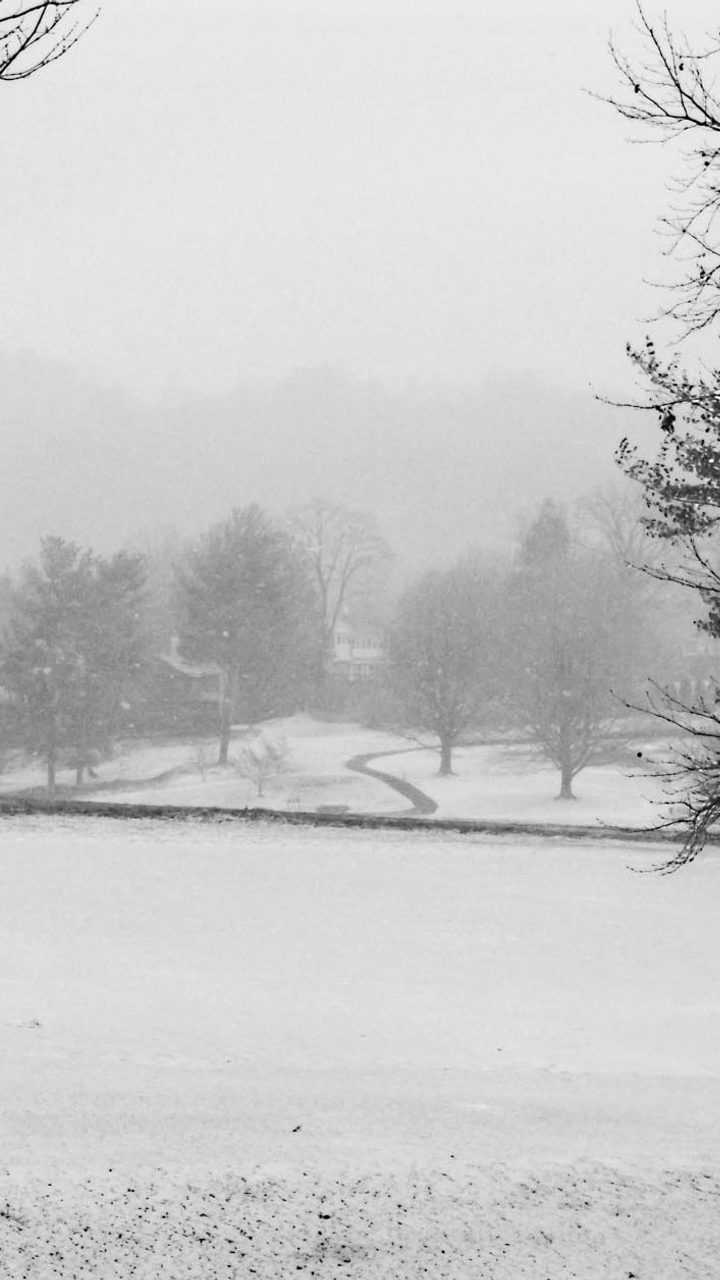 North Carolina Snow: 89 Inches, or Under One