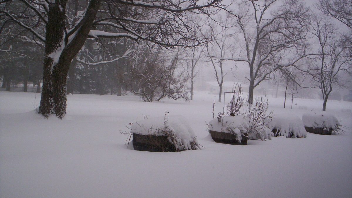 Deep drifted snow burying raised garden beds and a lawn in Mansfield, Ohio during a heavy snowstorm
