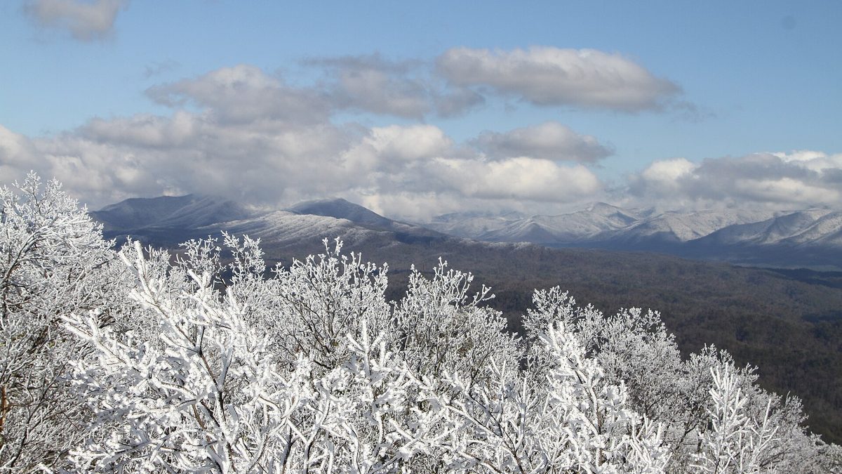 Snow-covered ridges of the Great Smoky Mountains seen from Look Rock, with frost-coated trees in the foreground