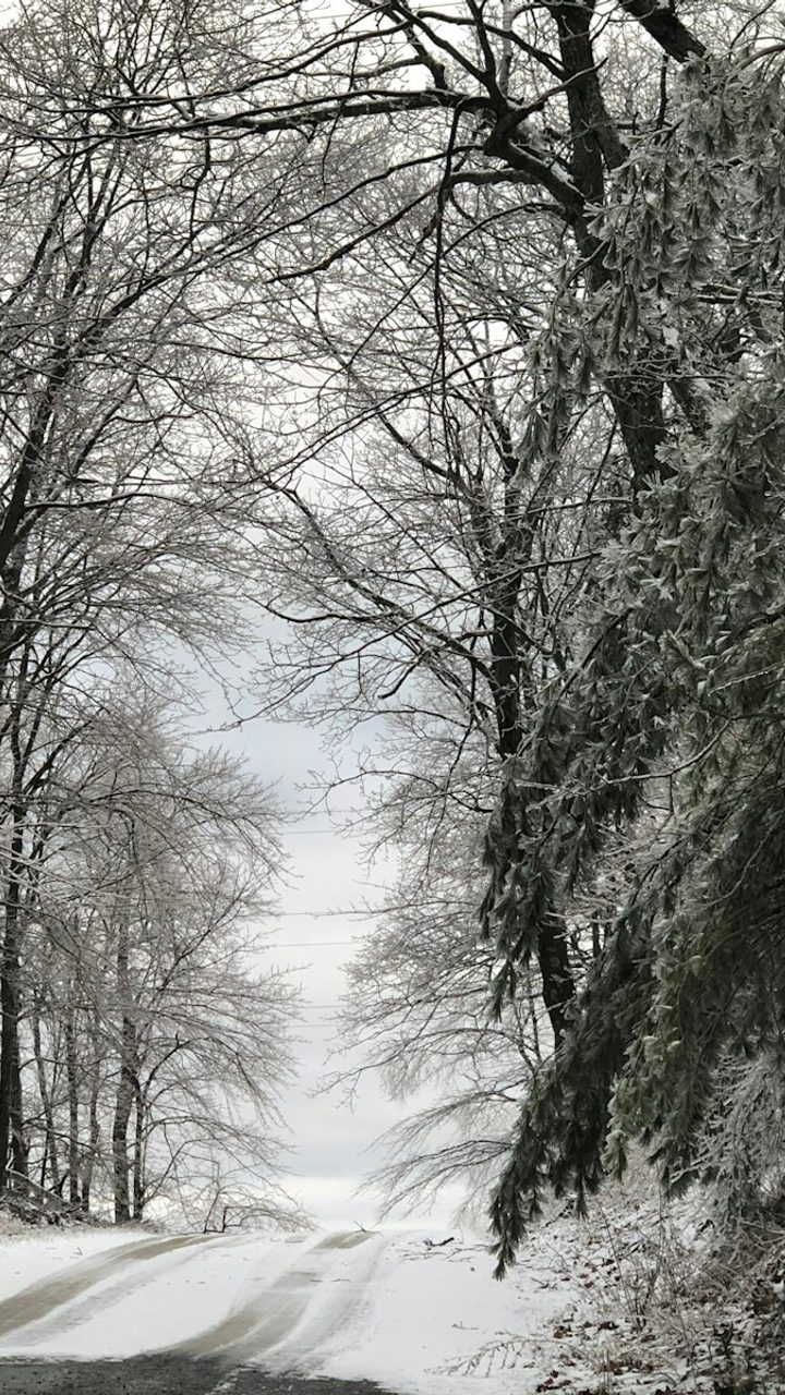 Virginia Snow: What the Records Actually Show
